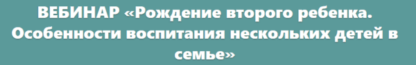 0000000000000000.png