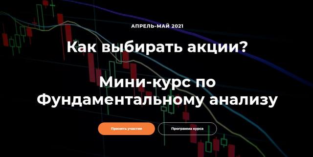 Мини-курс по фундаментальному анализу. Светлана Шишкина, Анна Харитонова