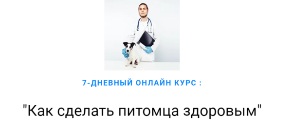 2345621.png