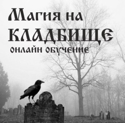 Практика работы на кладбище. Алена Полынь