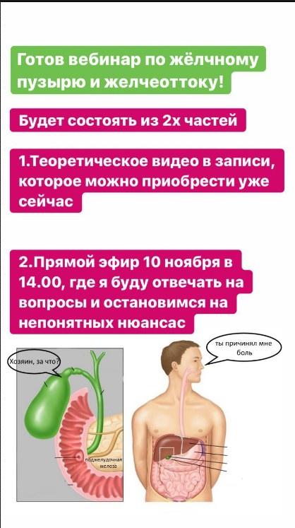 Желчный пузырь и отток желчи. Дарья Ермишина
