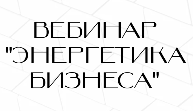 Энергетика бизнеса. Нина Веркойен