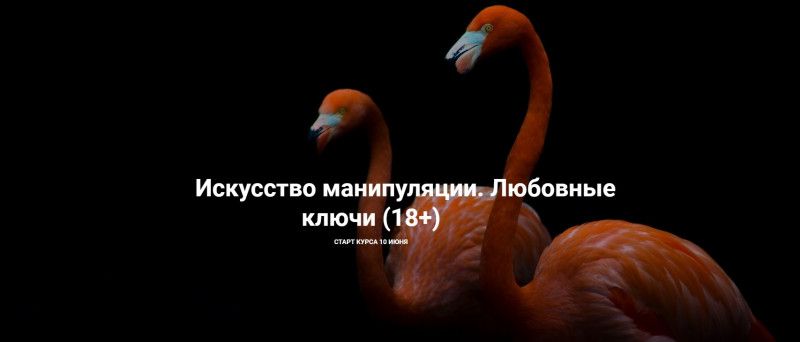 Искусство манипуляции. Любовные ключи 18+. Рада Русских, Ольга Чебыкина, Школа Интервью Бу-Бу-Бу