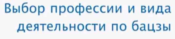 Выбор профессии и вида деятельности по бацзы. Анна Подчернина