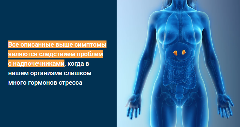 Надпочечниковый тип телосложения. Тариф Pro. Доктор Берг