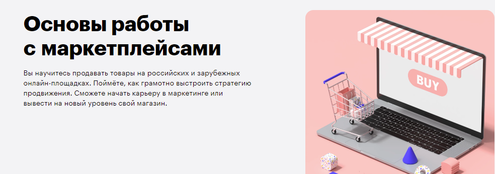 Основы работы с маркетплейсами. Алина Гончаренко, Александр Чайка