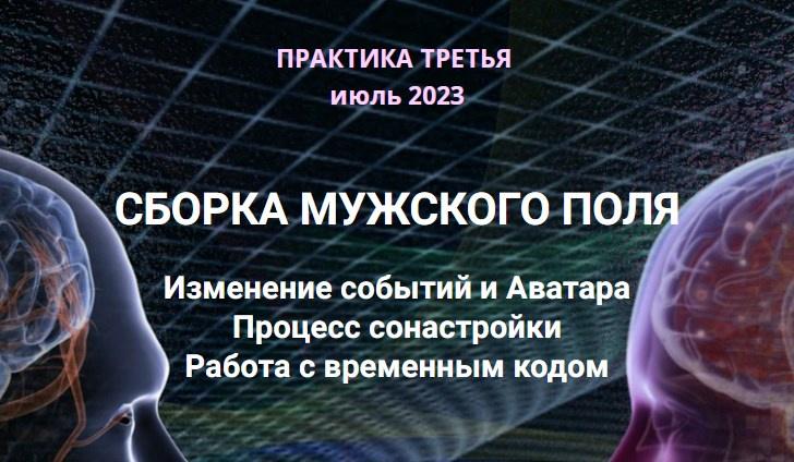 Сборка мужского поля. Изменение событий и Аватара. Эмилия Франк