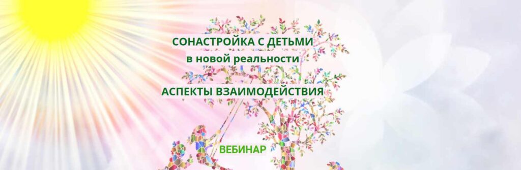 Сонастройка с детьми в новой реальности. Аспекты взаимодействия. Эмилия Франк