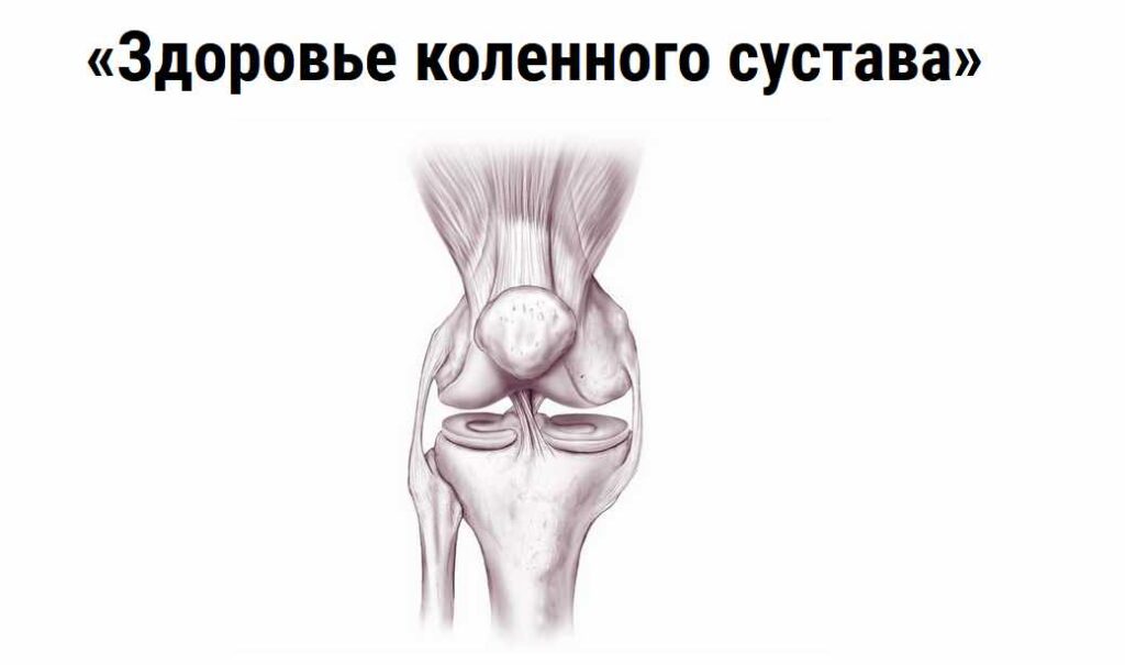 Здоровье коленного сустава. Дмитрий Путылин