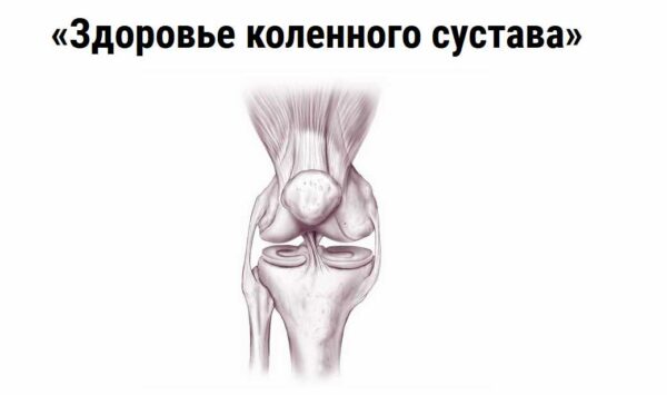 gy2bhey-1.jpg