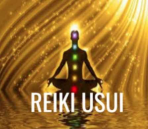 Рейки Усуи. 1 Ступень. Апрель 2024. 9 Поток. Оксана Куликова