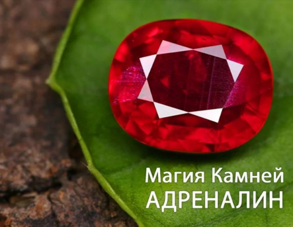 izobrazhenie_2025-10-01_071940915.png