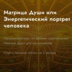 Матрица Души или Энергетический портрет человека. Александра Шобогорова 1