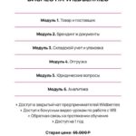 Бизнес на Wildberries. Авторский курс, Эльвира Воробьева 2