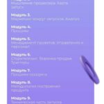 Продюсер инфопродуктов блогеров и экспертов. Тариф "ВИП". Алина Крейда, Дмитрий Фомин 2