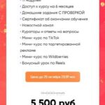 Insta Imperial Pro. Стань управляющим бизнес-аккаунтов в Instagram. Тариф - Управляющий с поддержкой от команды. Артем и Лиза Миллер Елизавета Миллер 2