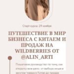 Путешествие в мир бизнеса с Китаем и продаж на Wildberries. Тариф Круиз бизнес-класс предпринимателя. alin_arti 1