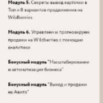 Путешествие в мир бизнеса с Китаем и продаж на Wildberries. Тариф Круиз бизнес-класс предпринимателя. alin_arti 2