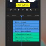 Съемка видео на смартфон. Тариф - Pro. Дмитрий Хон 2