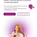 Бизнес - перспектива на Wildberries. Тариф Масштабный Wildberries. Дарья Шиляева 1