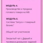 Бизнес - перспектива на Wildberries. Тариф Масштабный Wildberries. Дарья Шиляева 2