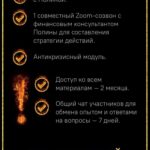 Nioly Strategy. Полина Пушкарева  nioly Ниоли 2