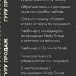 Salemade. Тариф - Гуру продаж. Полина Пушкарева  nioly Ниоли 2