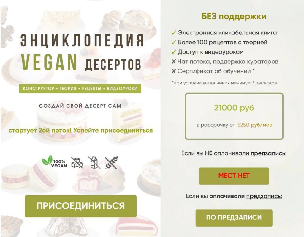 Энциклопедия VEGAN десертов. Тариф Без поддержки. Мария Липская