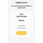 Че по стикерам? Alena Kumkvat 2