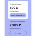 Soft Skills для руководителей. Как управлять собой и другими/ Екатерина Оксанен, Правое полушарие интроверта 2