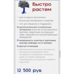 The Limitless. Тариф - Быстро растем. Катерина Сила 2