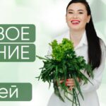 Здоровое снижение веса за 14 дней. Регина Ахуньянова, Regina Doctor 1