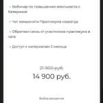 Продажи без охватов. Тариф С Комьюнити. Bizcarusel, Катерина Алешина 2