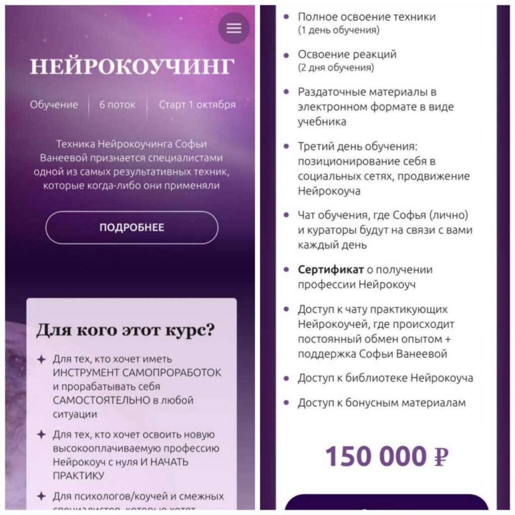 Нейрокоучинг 6.0. Софья Ванеева