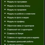 Остров SMM. Самый денежный курс от Ханум 2