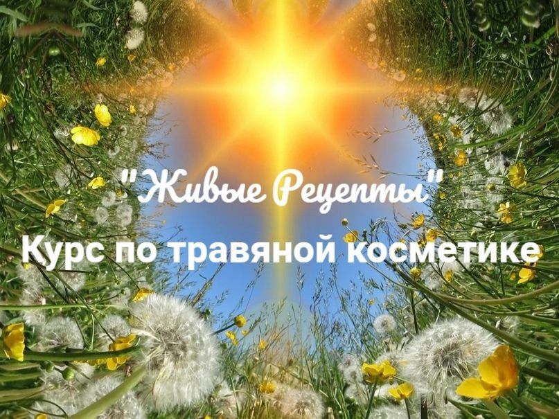 Живые рецепты. Курс по травяной косметике. Наташа Бутова