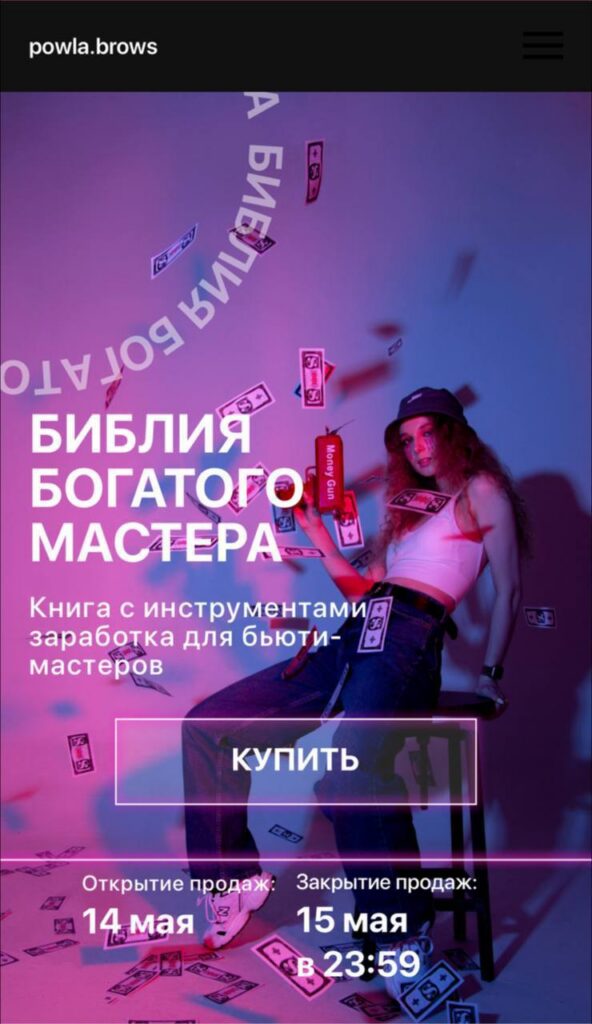 Гайд Библия богатого мастера. Полина Владимирова, powla.brows