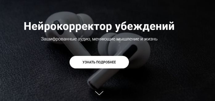 Нейрокорректор убеждений. Наталья Игнатова, Александр Свияш