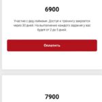 Тренинг по мамоуспеванию Высший пилотаж. Тайм-менеджмент для мам. Юлия Уткина 2