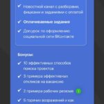 Стань менеджером Вконтакте. Элина Чеботарева Элина Жгенти 2