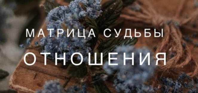 Матрица Судьбы- отношения. Ксения Ликич