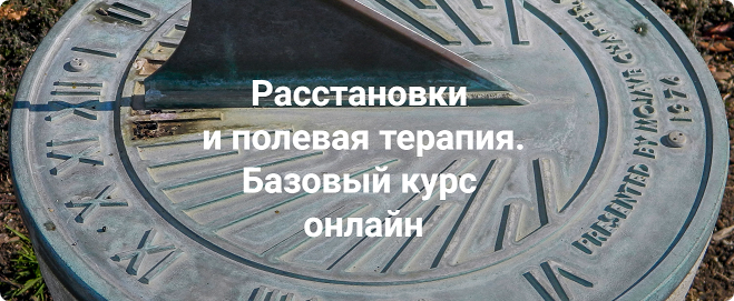 Расстановки и полевая терапия. Базовый курс 2023. Пакет Только теория. Елена Веселаго