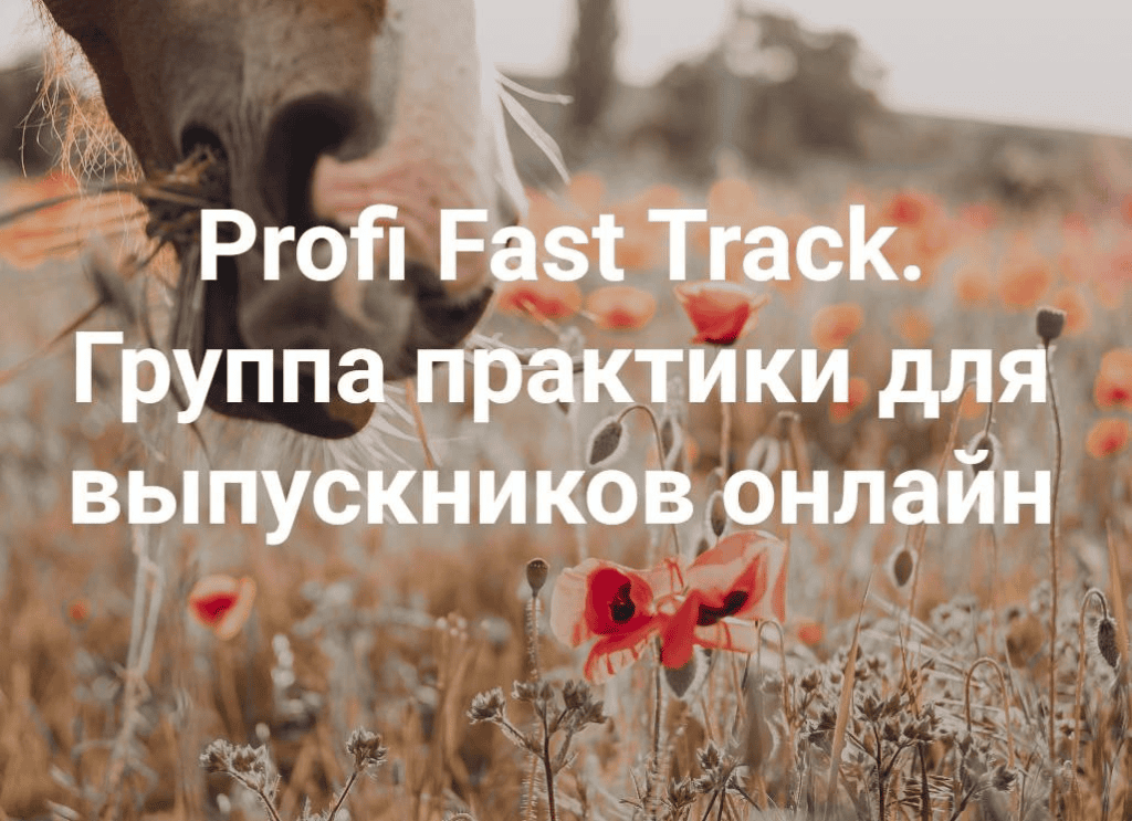 Profi Fast Track. Всё всегда плохо. Группа практики для выпускников онлайн 2024. Елена Веселаго, Институт Открытого поля