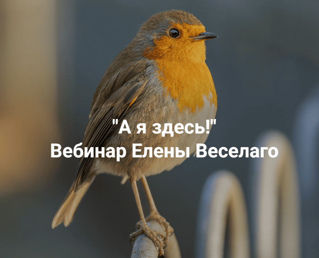 А я здесь! Елена Веселаго Институт Открытого поля