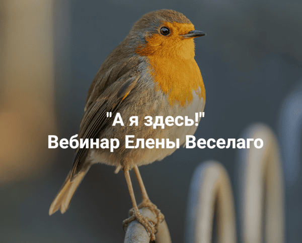 izobrazhenie_2026-01-05_225529454.png