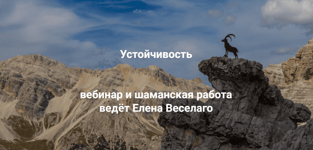 Устойчивость. Как сохранять устойчивость в сложное время личных кризисов и трансформаций больших систем. Елена Веселаго, Институт Открытого поля