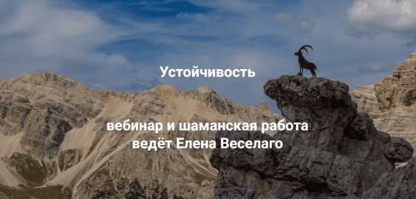 изображение_2026-06-30_170257486.png изображение_2026-06-30_170257486.png