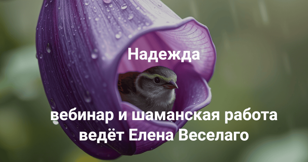 Надежда. Елена Веселаго, Институт Открытого поля